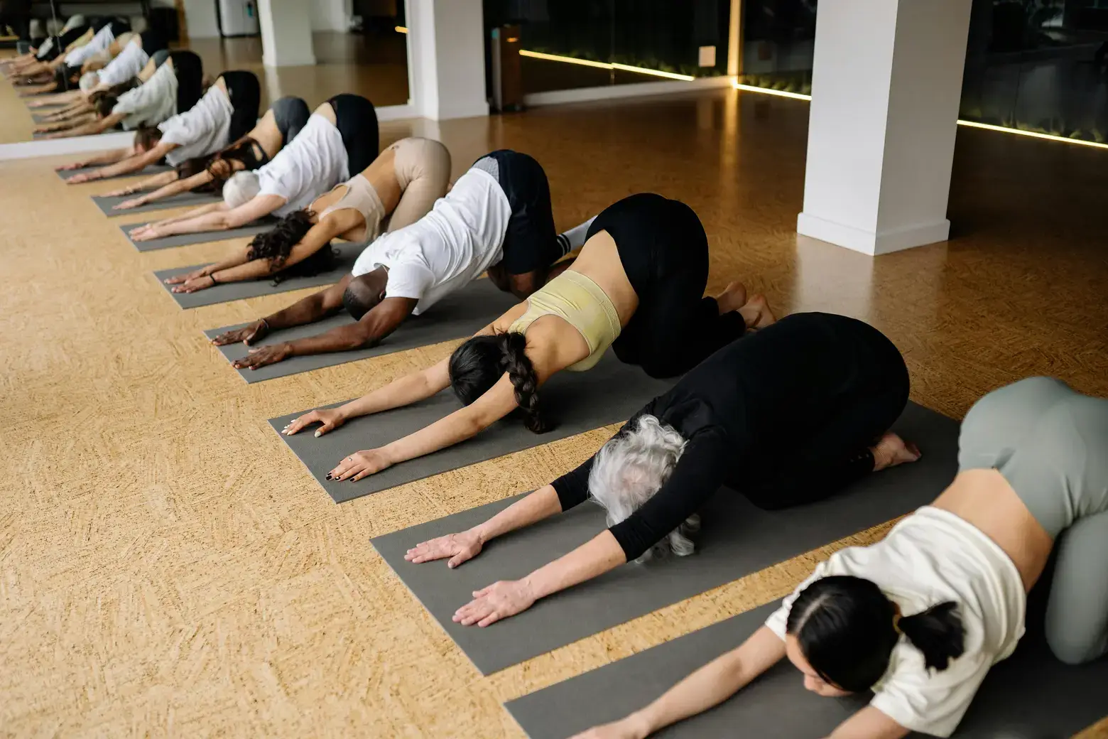 People doing yoga indoors
